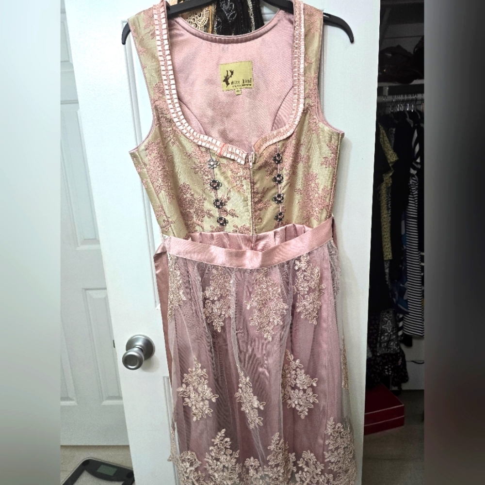Pink Octoberfest Dirndl NWT size 40 ( 8 US)